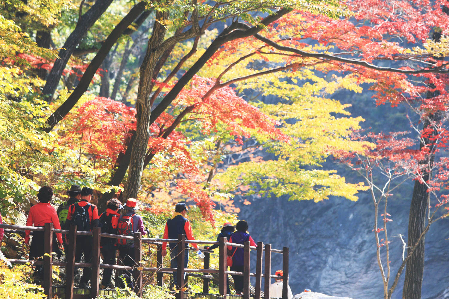 Mt. Seorak Fall Season Tour