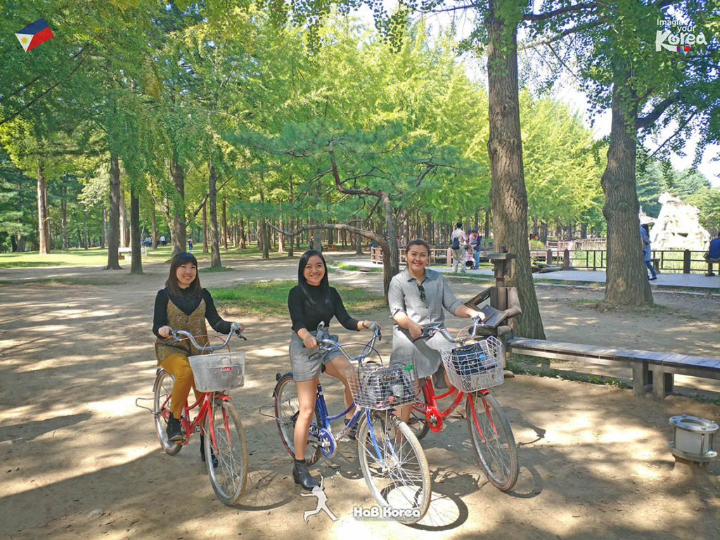 Nami Island and Petite Day Tour_Abby