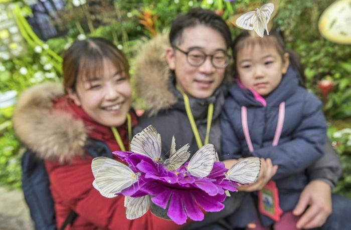 Everland 'Pre-Spring Butterfly Garden' has open