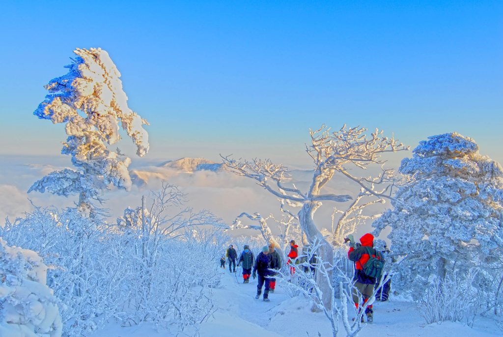 The 25th Taebaeksan Snow Festival