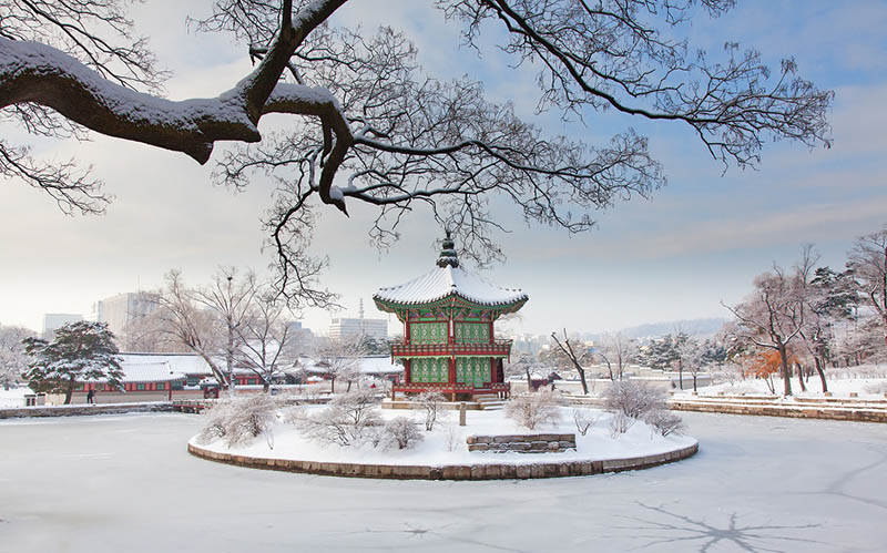 Free admission of the four Korean national palaces