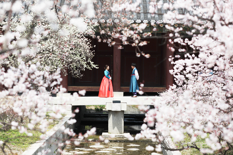 Hanbok in Palace Exhibition - Royal Culture Festival 2018