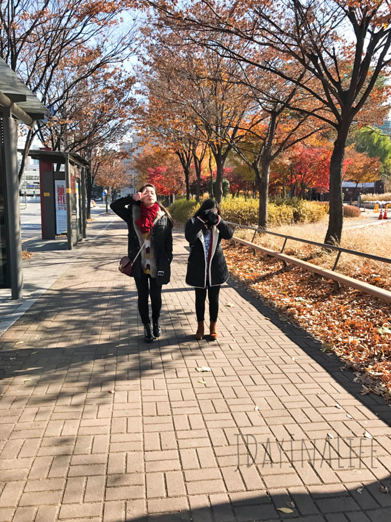 When in Seoul 10-day itinerary – Day 2: Seoul Forest, Ewha Womans University, Cheonggyecheon Stream