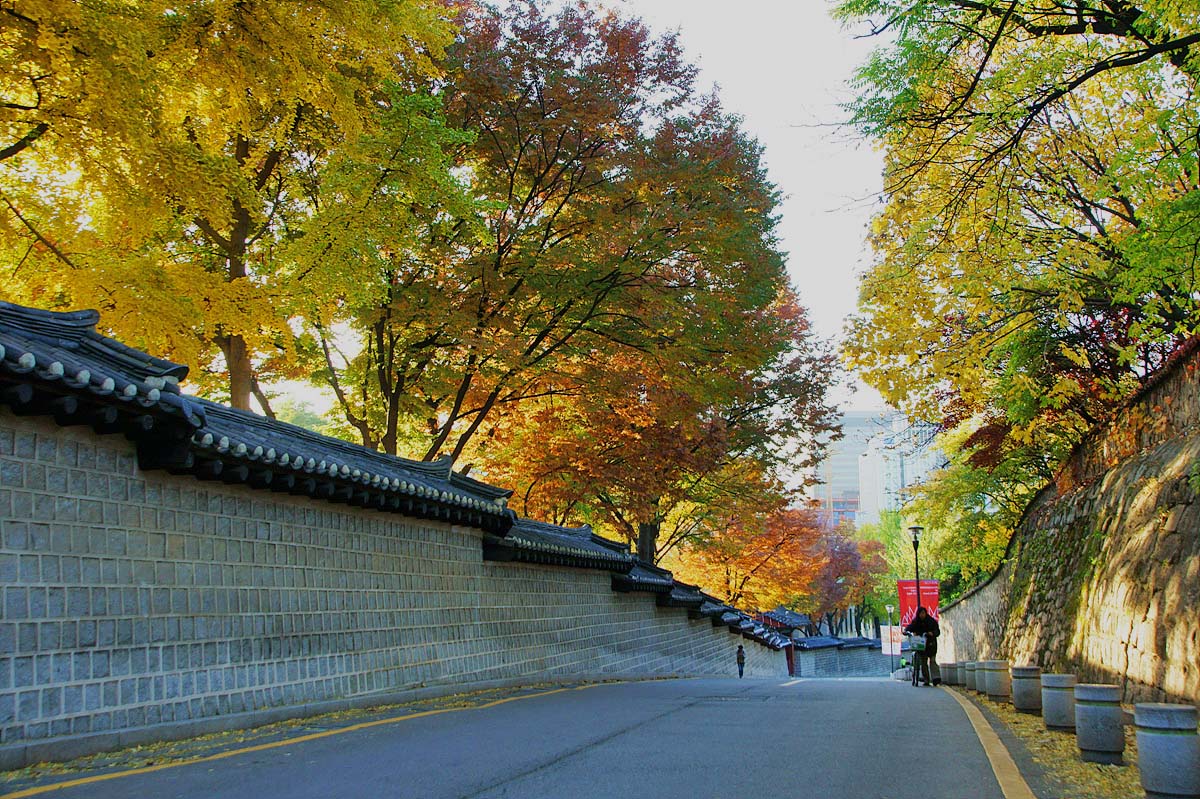 Deoksugung Stone Wall