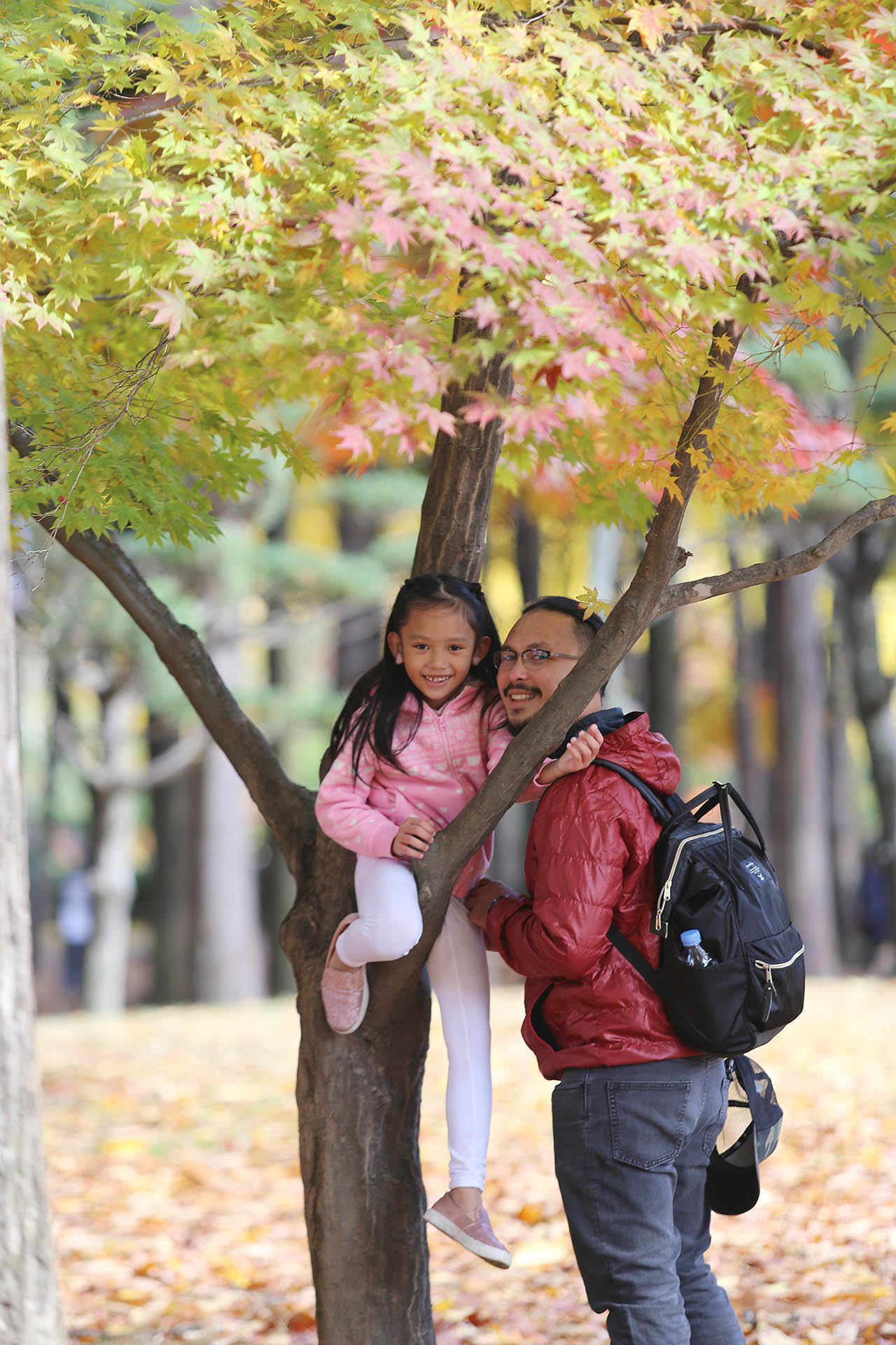 Why don't you take a photo trip to Nami Island this fall?