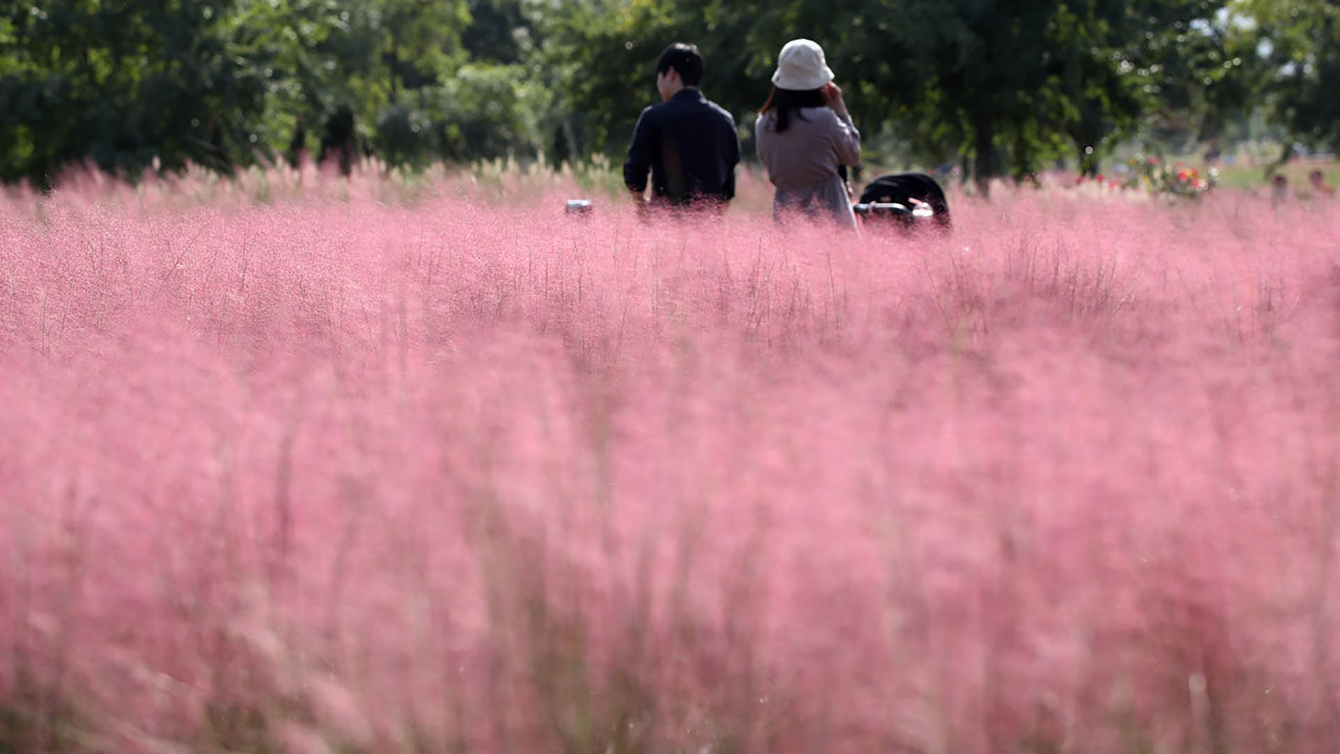 4 Best Autumn Trails at Hangang Park in Seoul