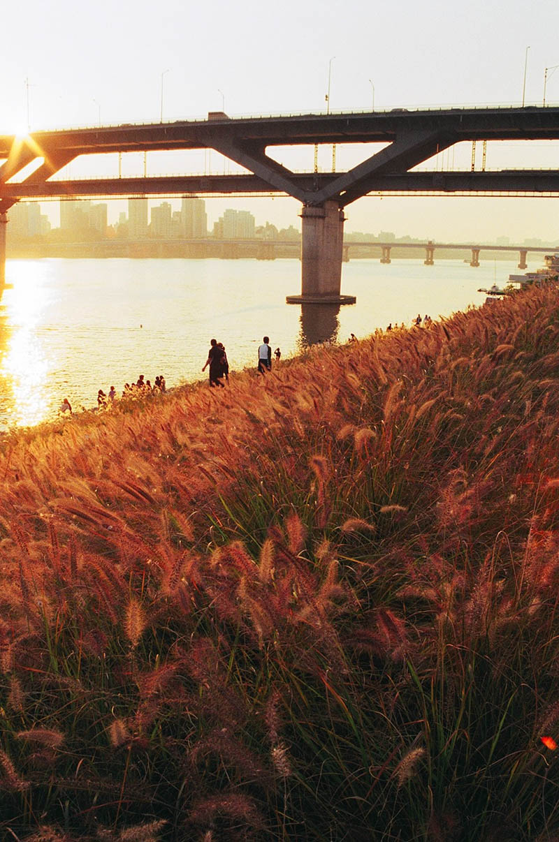 4 Best Autumn Trails at Hangang Park in Seoul