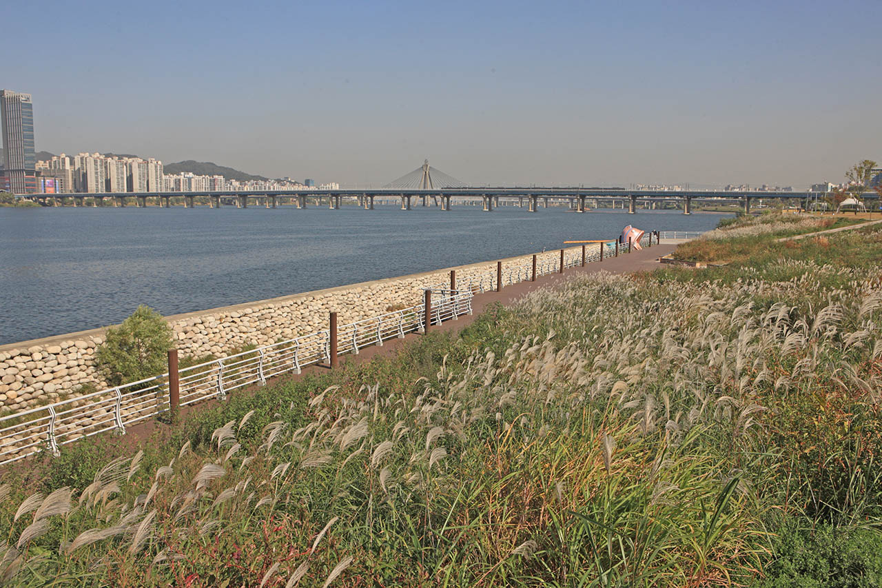 4 Best Autumn Trails at Hangang Park in Seoul