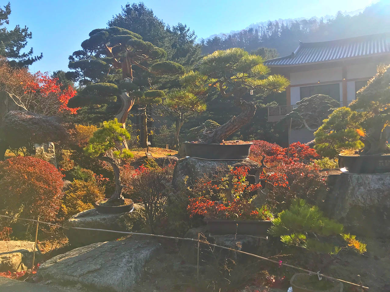 Sarah’s Korea Trip – Colorful World at the Garden of the Morning Calm