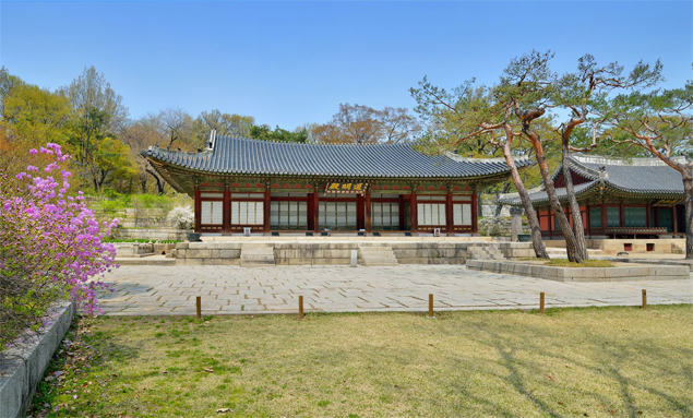 Things to do in Seoul - Royal Palace with beautiful night view, Changgyeonggung Palace