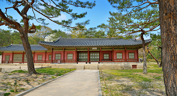 Things to do in Seoul - Royal Palace with beautiful night view, Changgyeonggung Palace