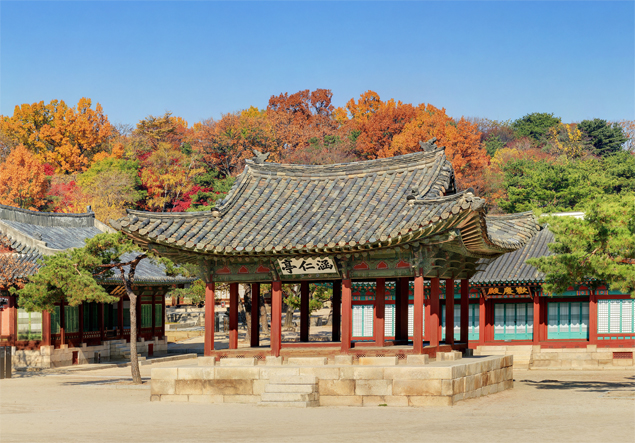 Things to do in Seoul - Royal Palace with beautiful night view, Changgyeonggung Palace