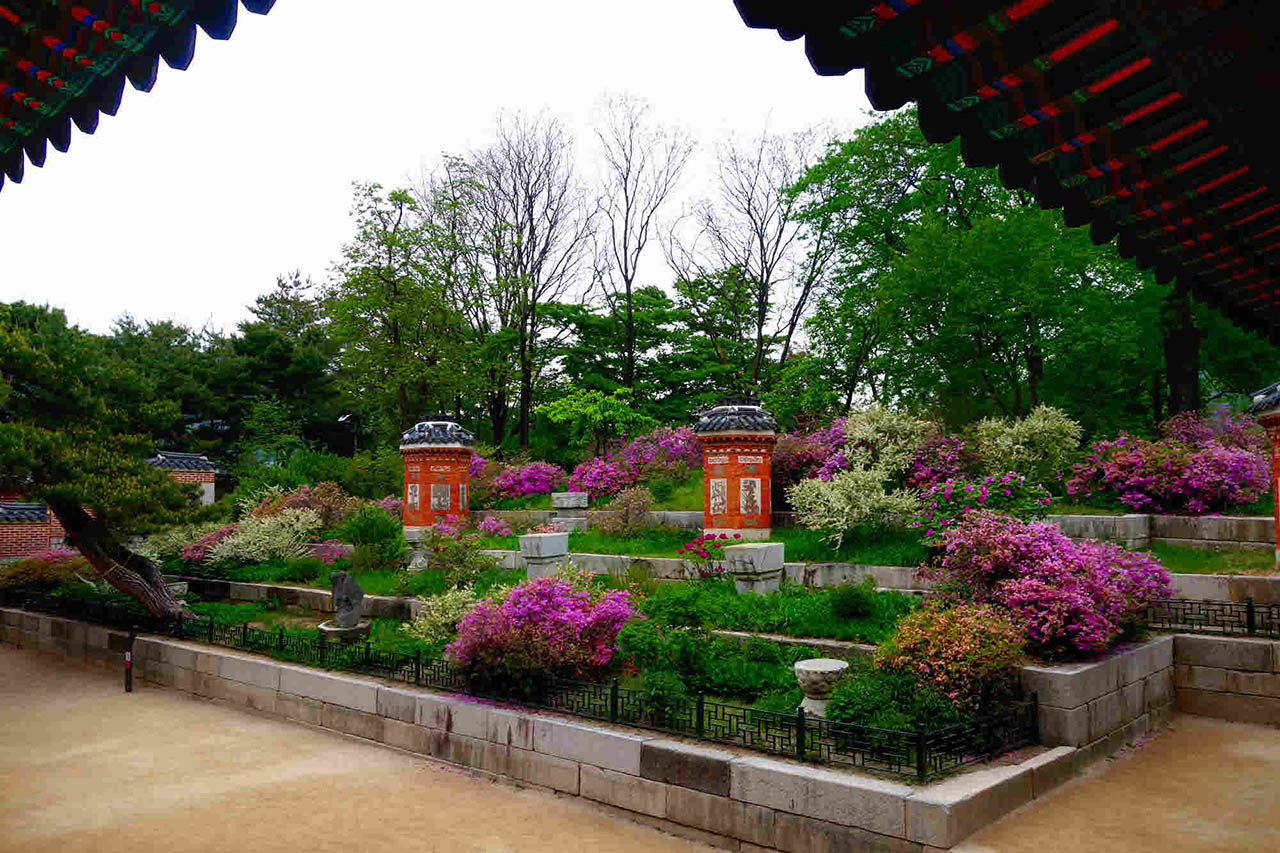 Korea Cultural Heritage Administration recommend 6 tourist spots of the palace and royal tomb spring flower attractions