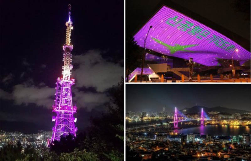 City of Busan turning Purple with Excitement over BTS fan meeting