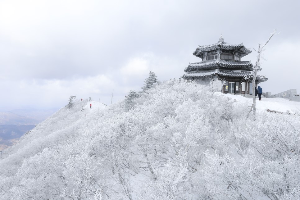 Best Winter Snow Trip locations in Korea