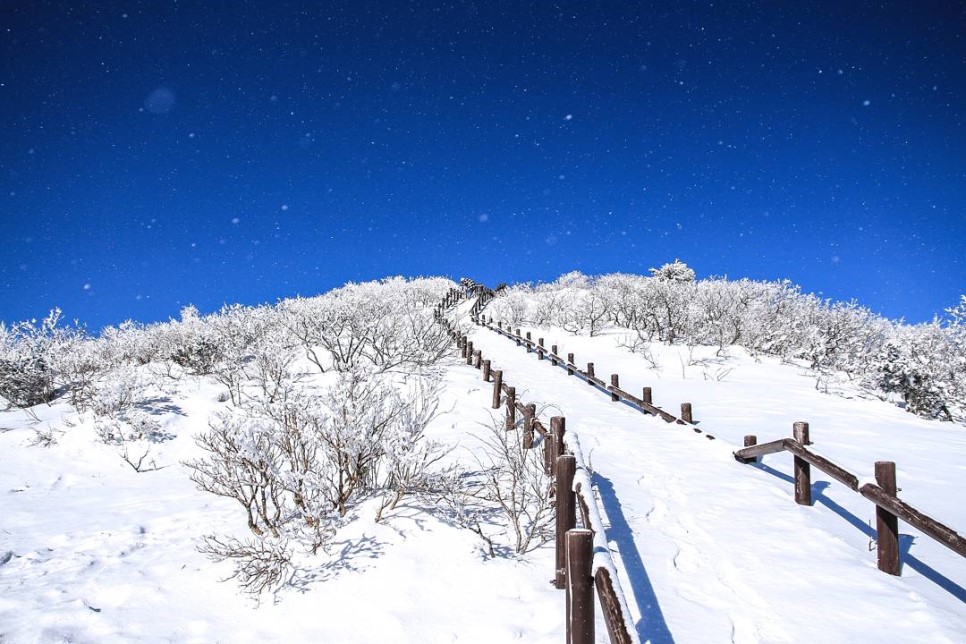 Best Winter Snow Trip locations in Korea