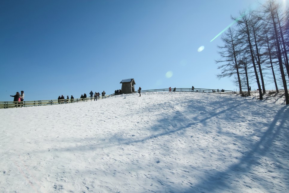 Best Winter Snow Trip locations in Korea