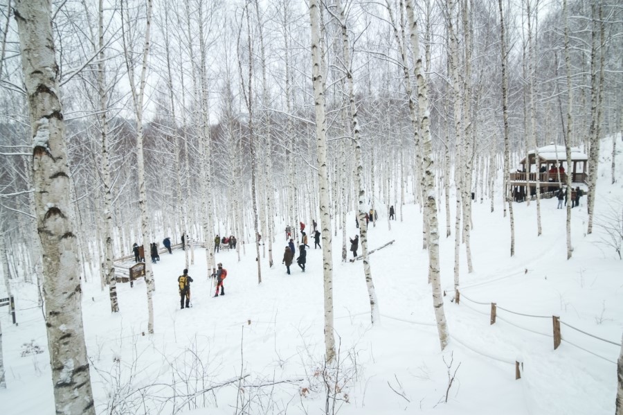 Best Winter Snow Trip locations in Korea