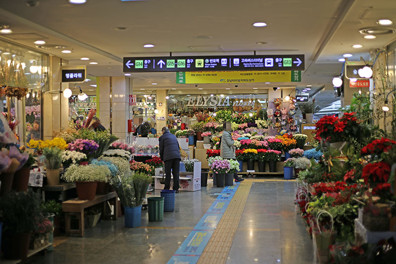 Best Place For Shopping In Seoul! #GoToMall #Express Bus Terminal Underground Shopping Mall