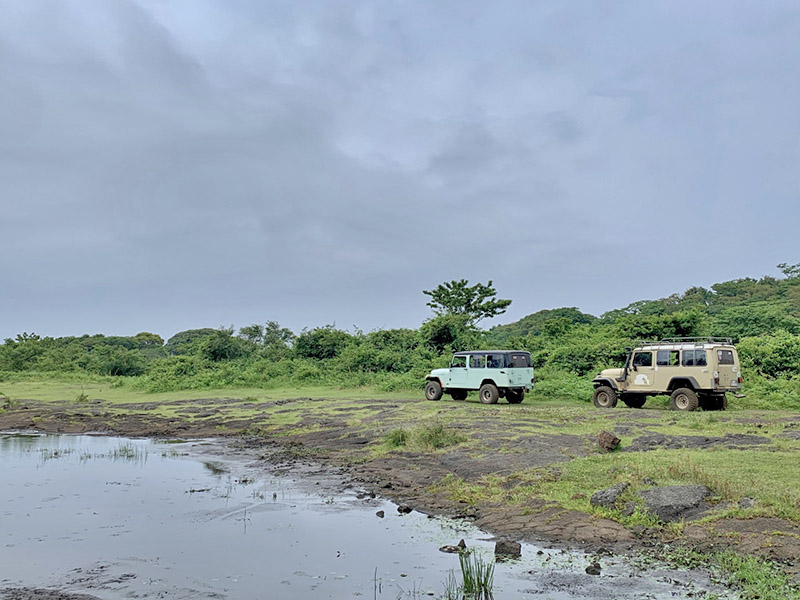 jeju island off road