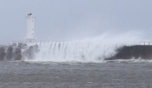 Typhoon advisory issued in Jeju, South Jeolla as Bavi approaches